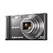 Sony DSC-W370 14.1MP Digital Camera with 7x Wide Angle Zoom with Optical Steady Shot Image Stabilization and 3.0 inch LCD (Silver)