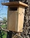 Bluebird House - Slotted Entrance
