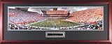 Florida Gators Ben Hill Griffin Stadium vs Auburn Tigers Framed Unsigned Panoramic Photo