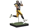 McFarlane Toys NFL Sports Picks Series 21 Troy Polamalu