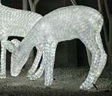 Giant Commercial Acrylic LED Femal Doe Deer Christmas Display - 1,980 LED Lights