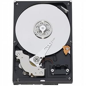 Western Digital Caviar Blue 500 GB Bulk/OEM Hard Drive 3.5 Inch, 16 MB Cache, 7200 RPM SATA II WD5000AAKS