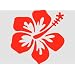 Wandbild Wandsticker Hibiscus Bl�ten 3 St�ck Hibiskus-wei�10