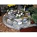 Winged Aquatics Landscape Fountain Kit