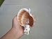 Brown Spotted Banded Tun Sea Shell Nautical Beach Decor Nightlight