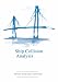 Search : Ship Collision Analysis (Proc Intl Symp