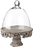 Tuscan Glass Dome Bell Jar Cloche Terrarium with Rustic Terra Cotta Pedestal Base