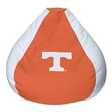 University of Tennessee Beanbag