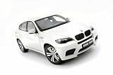 2009 BMW X6M (E71) Alpine White 1/18