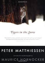 Tigers in the Snow