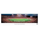 Georgia Bulldogs Football Unframed Panoramic