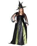 Goth Maiden Witch Costume Plus Size
