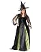Women’s Plus Size Goth Maiden Witch Costume
