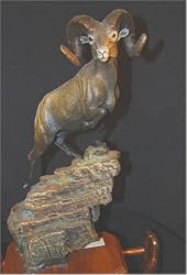 "Rocky Mountain Sheep"