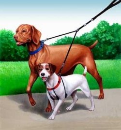 Sporn Double Dog Leash – Two Dog Leash Med- XL, black