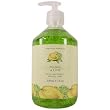 Asquith Somerset Tropical Fruits Anti-Bacterial Liquid Soap in Pump Dispenser, 500 ml 17 fl oz, Mango Lime