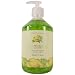 Asquith Somerset Tropical Fruits Anti-Bacterial Liquid Soap in Pump Dispenser, 500 ml 17 fl oz, Mango Lime