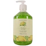Asquith Somerset Tropical Fruits Anti-Bacterial Liquid Soap in Pump Dispenser, 500 ml 17 fl oz, Mango Lime