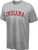 Indiana Hoosiers Grey Cube T-Shirt