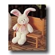 Candide Bunny Medium Gund
