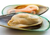 New Zealand Green Shell Mussels