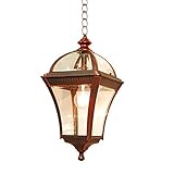 eTopLighting Le Affinage Collection Oil Rubbed Rustic Finish Outdoor Lantern Light Beveled Glass, Pendant APL1122