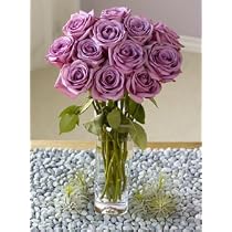 One Dozen Lavender Roses