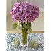 One Dozen Lavender Roses