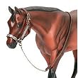 Western Stock Show Halter w/ Lead&nbsp;