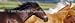 Window Graphic - 16x54 Wild Dignity
