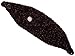 Sparkly Knit Winter Headband w/Jeweled Button (One Size)