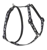 1/2 in. Lupine Adjustable Roman Style Harness - 12 in. to 20 in. - Silver Charm