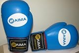 Boxing Gloves - ZAIMA - Blue/Red- 12oz-NEW LOW PRICE !!