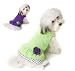 PET RAGEOUS DESIGNS