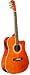 INDIANA Private Vault ID-MOJA Mojave Dreadnaught Acoustic-Electric Guitar - Mahogany