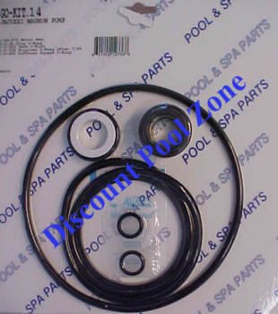 Jacuzzi Magnum Pool Pump Kit Go-Kit14