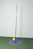 Indoor/Outdoor Tetherball