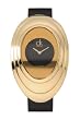 Calvin Klein - ck mound - black Dial - black leather / gold