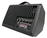 Galaxy Audio PA5X140 Powered Hot Spot Monitor