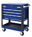 Stainless Steel Top Kitchen Cart 41nH4VSE8FL. SL75 Stainless Steel Top Kitchen Cart