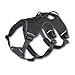 Ruffwear Web Master Harness, Medium, Twilight Gray