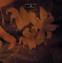 FOREVER LOVE(初回生産限定盤)(DVD付)