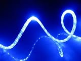 19.5 Feet (6m) Rope Light, Blue LED Rope Light, 1.75" LED Spacing, Christmas Lighting