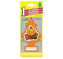 Car Freshner 10504 Little Trees Air Freshener Spiced Pumpkin Scent - Single Tree per Package
