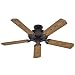 Hunter 23568 Sea Air 52-Inch 5-Blade Ceiling Fan, Weathered Bronze with Medium Oak Finish Plastic Blades