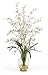 Dancing Lady Liquid Illusion Silk Flower Arrangement in White - Nearly Natural - 1073-WH
