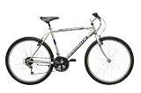 Emmelle Trekker Gents 18-speed Cycle Silver 20 Frame