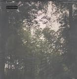 SMILE AND THE WORLD SMILES WITH YOU LP (VINYL) US TEMPORARY RESIDENCE LIMITED 2003