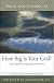 How Big Is Your God?: The Freedom to Experience the Divine