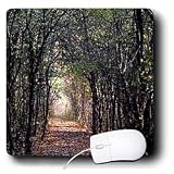 WhiteOak Photography Nature Scenes - Light at the End of the Path Path in Michigan - Mouse Pads
